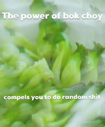 Bokchoy Veggies GIF - Bokchoy Veggies Random Shit GIFs