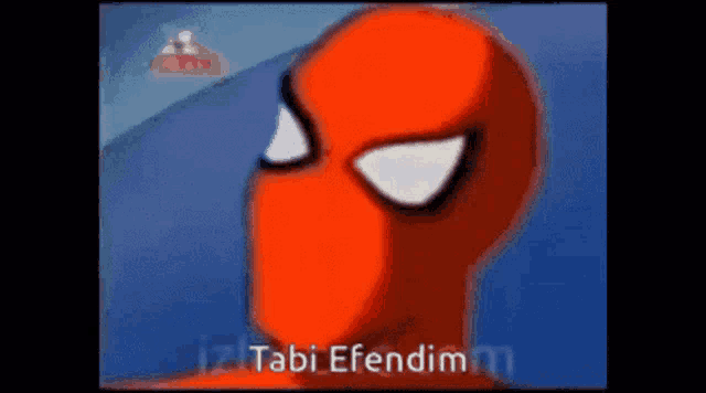 a close up of a spider man face with the words tabi efendim below him