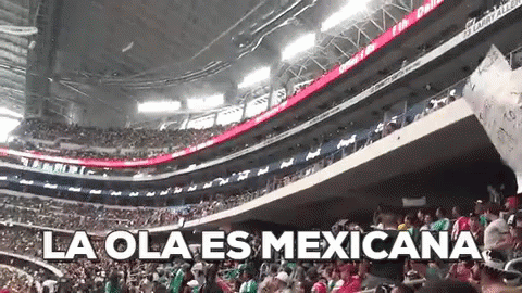 Hola Mexicana En Partido De Futból GIF - Eeeeeeh Eeeeee Eeeehhh GIFs
