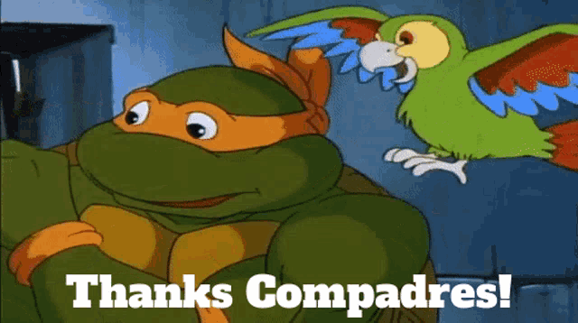 a cartoon of a turtle and a parrot saying thanks commadres