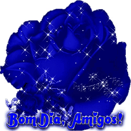 a blue rose with the words bom dia amigos written on it