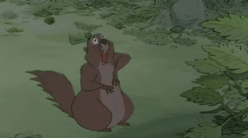 Disney The Sword In The Stone GIF - Disney The Sword In The Stone Squirrel GIFs