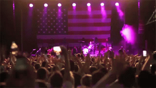Audience Fans GIF - Audience Fans Crowd GIFs