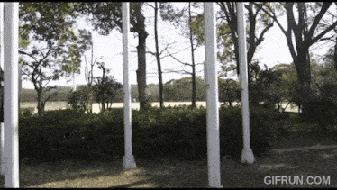 a gif from gifrun.com shows trees and a field