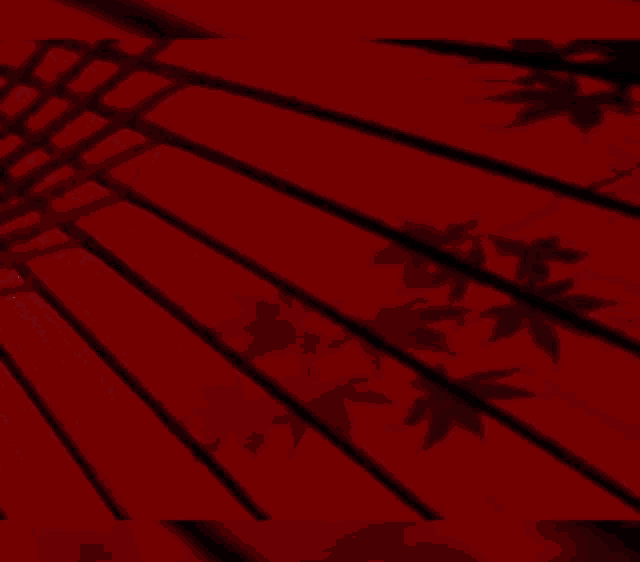 a green and red background with the word zodiacs