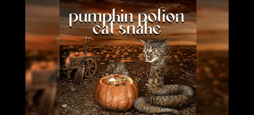 Pumpkin Potion Cat Snake Pumkin GIF - Pumpkin Potion Cat Snake Pumkin Potion GIFs