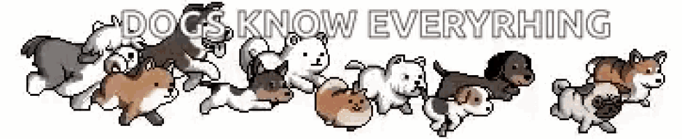 a group of dogs standing next to each other with the words dogs know everything above them