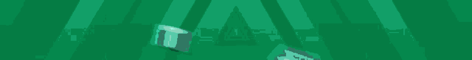 a green background with the word pravila written in white