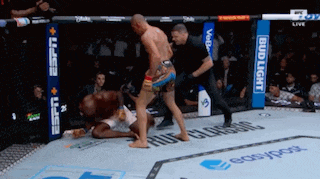 two men are fighting in a boxing ring with a bud light banner