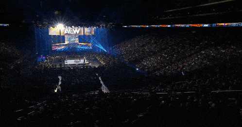 a crowd watching a wrestling event with a crown that says champion