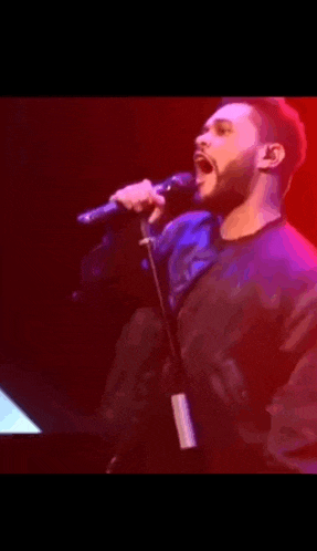 a man with a beard is singing into a microphone on stage .