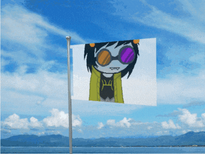 a flag with a picture of a girl wearing sunglasses is flying in the wind