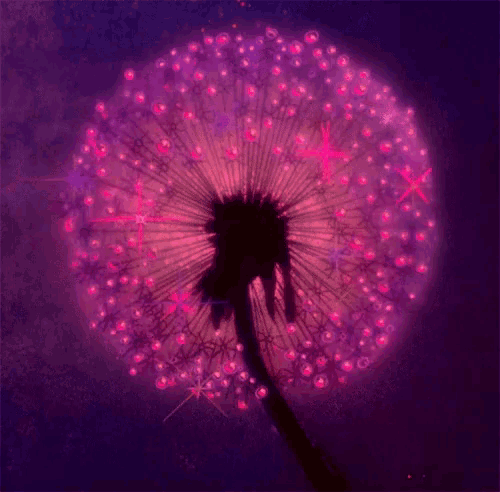 Flower Sparkles GIF