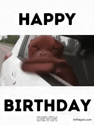 Birthday Wishes Birthday For Dog Lovers GIF - Birthday Wishes Birthday For Dog Lovers GIFs