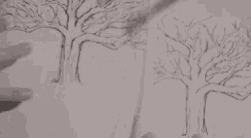 a person is drawing trees on a piece of paper