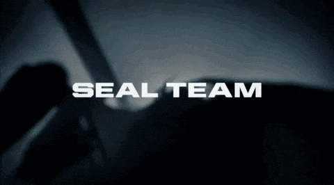 a seal team logo is displayed on a dark background
