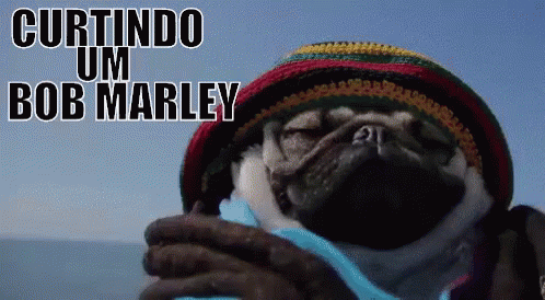 Bob Marley / Curtindo Um Reggae / Pug / Rastafari / Rasta GIF