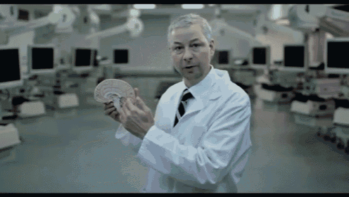 a doctor in a lab coat is holding a model of a human brain