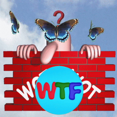 Wtf Wtf Is Going On GIF - Wtf Wtf Is Going On Wot GIFs