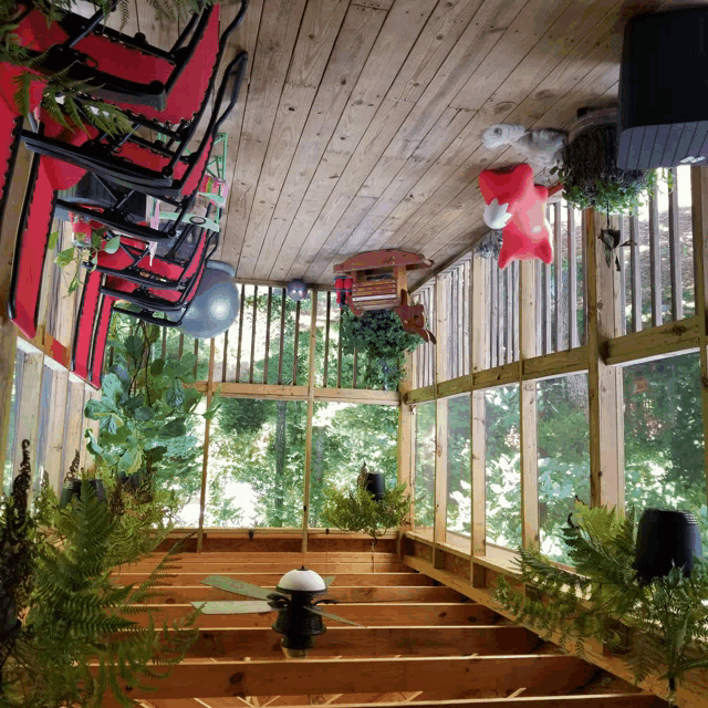 a screened in porch with a ceiling fan and ferns