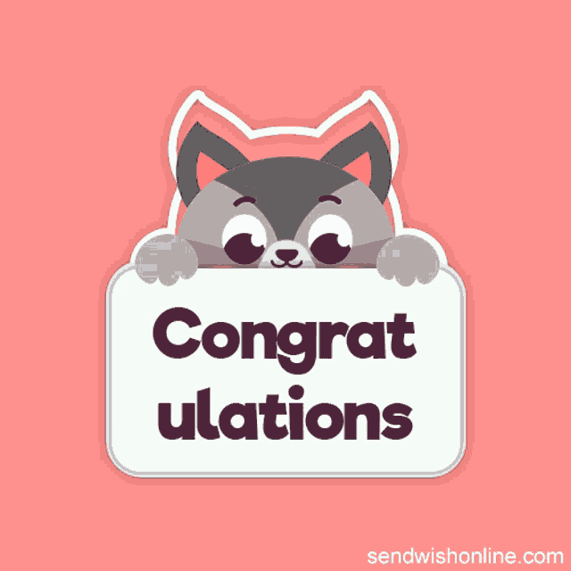a cat holding a sign that says " congratulations "