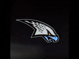 a black background with a white and blue eagle on it
