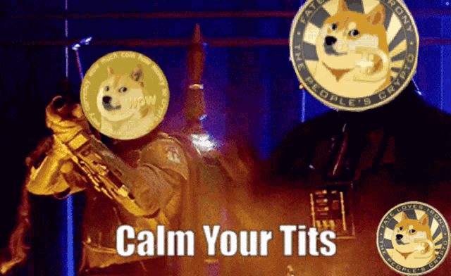 a picture of a man with a doge coin on his head and the words calm your tits