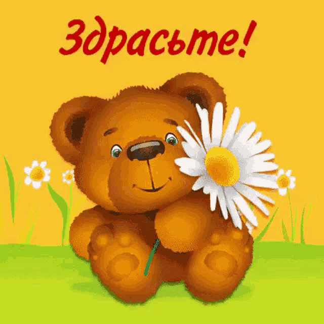 a teddy bear is holding a daisy in front of a yellow background that says " здрасьте "