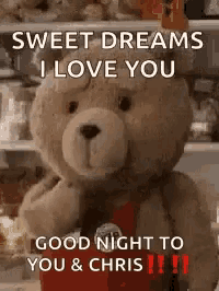 a teddy bear is holding a red heart and says `` sweet dreams i love you good night to you and chris '' .