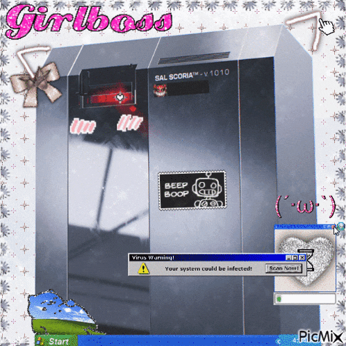 a computer screen shows a virus warning