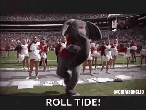 an elephant mascot is dancing on a football field with cheerleaders behind him .