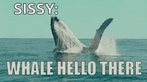 Hello There Whale GIF - Hello There Whale Pun GIFs