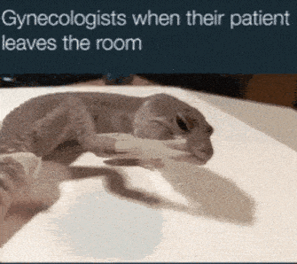 Gynecologist Lizard GIF - Gynecologist Lizard Gloves GIFs