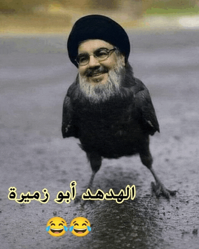 a picture of a bird with a man 's face on it with arabic writing