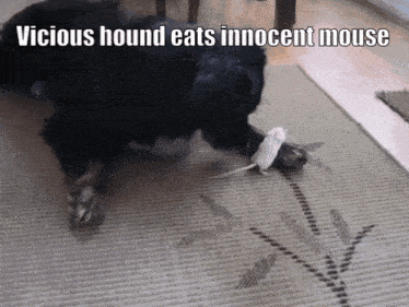 a picture of a dog playing with a mouse with a caption that says vicious hound eats innocent mouse