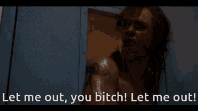 a picture of a chained door with the words let me out you bitch let me out below it