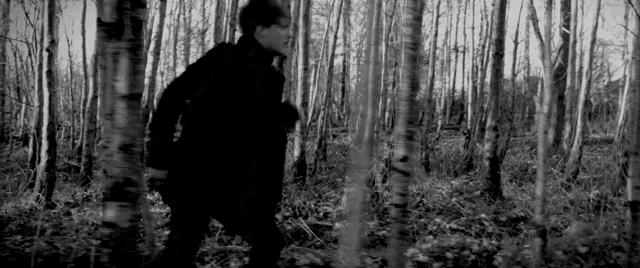 a man is walking through a dark forest .