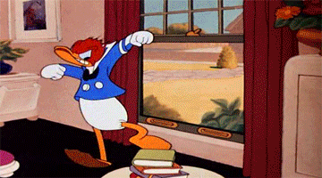 donald duck is dancing in front of a window in a living room