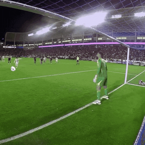 a soccer game is being played in a stadium with a goalie standing in front of the goal