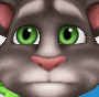 a close up of a cat 's face with green eyes