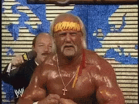 Hulk Hogan Wwe GIF - Hulk Hogan Wwe GIFs