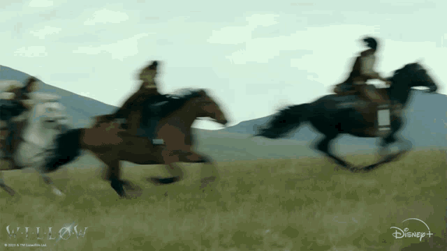 Horse Riding Willow GIF - Horse Riding Willow On Horseback GIFs