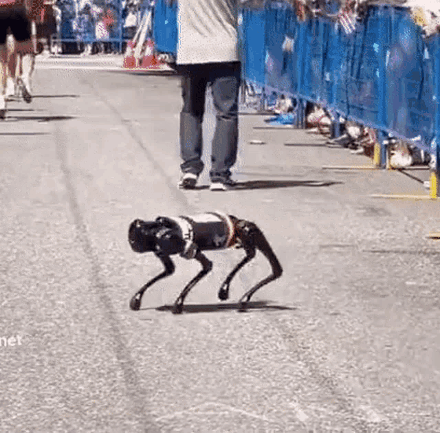 Robot Dog GIF - Robot Dog Run GIFs