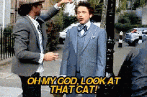 a man in a suit says oh my god look at that cat while another man looks on