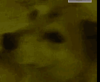 a close up of a dog 's face in a blurry photo .