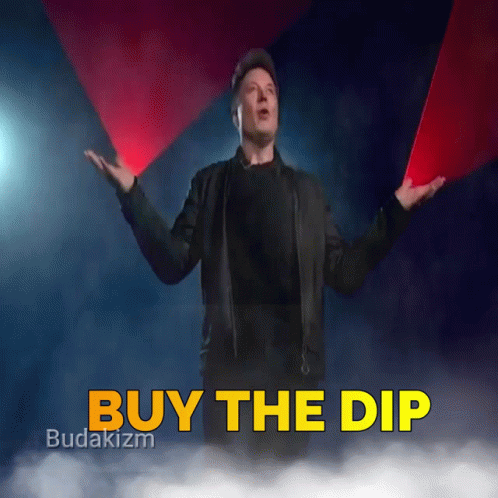 Buy The Dip Buy Dip GIF - Buy The Dip Buy Dip Dip GIFs