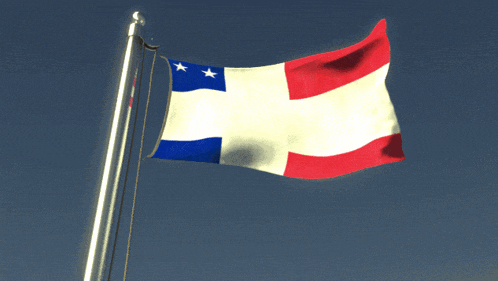 a red white and blue flag with two stars on it is waving in the wind