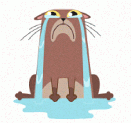 Cat Crying GIF - Cat Crying Sad GIFs