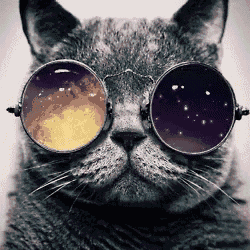 a cat wearing a pair of round glasses with a reflection of the moon in them