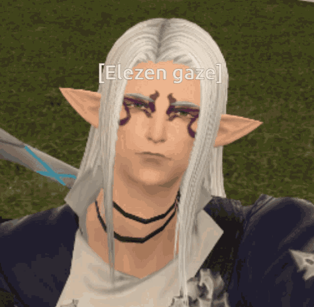 a screenshot of a video game character with a caption that says " elezen gaze "